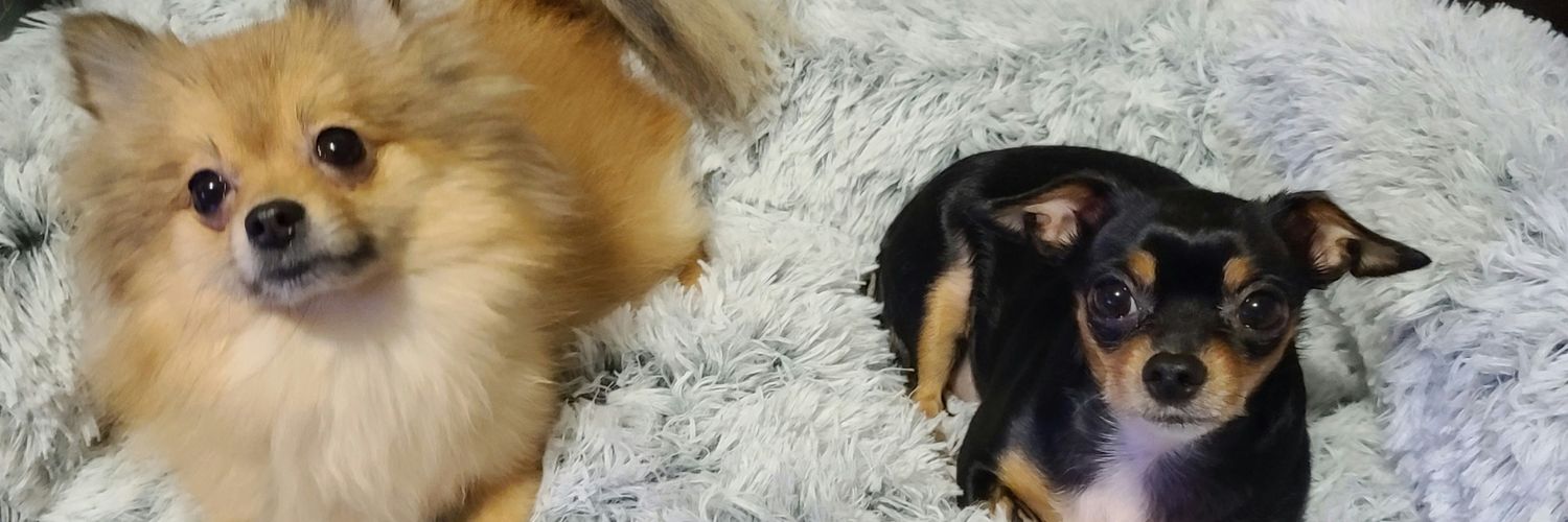 sherlyag's profile banner image