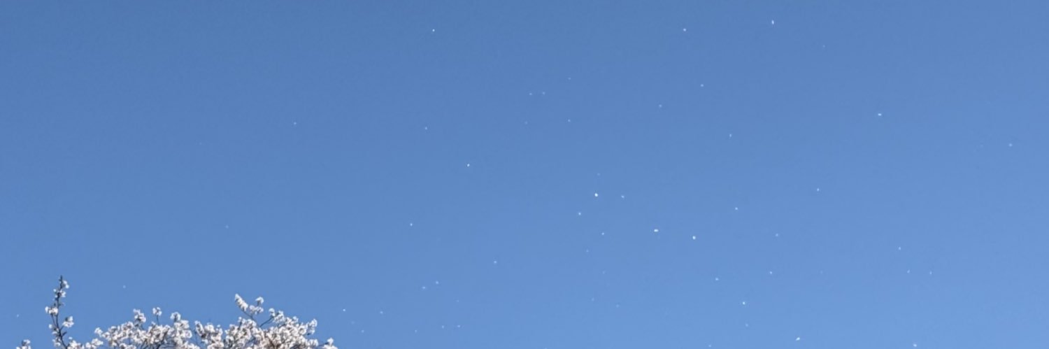rinran223's profile banner image