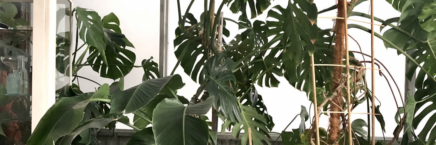 prostoprois's profile banner image