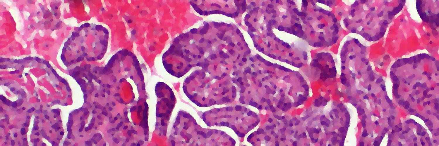 librepathology's profile banner image