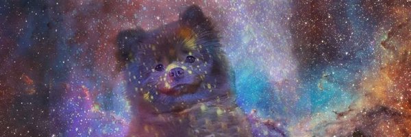 MMarcdl Profile Banner