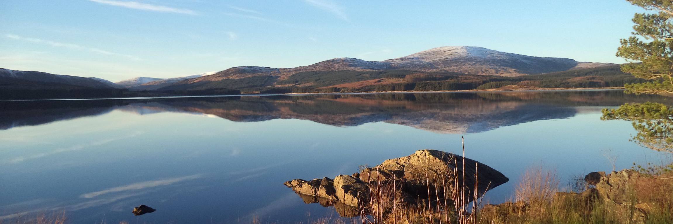Galloway Forest Park banner