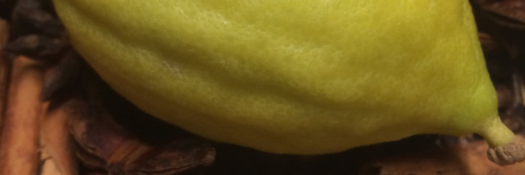 Michael מיכאל banner