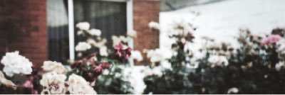 camgoofball's profile banner image