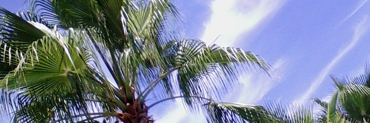 XavierOsKa's profile banner image