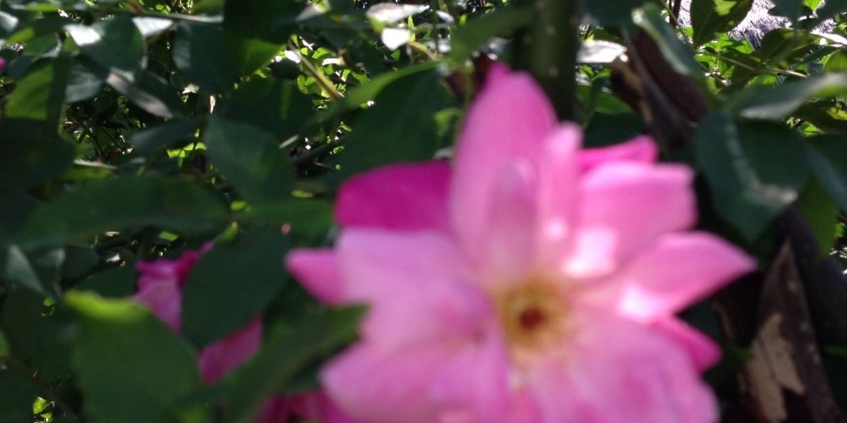 OlwalZingg's profile banner image