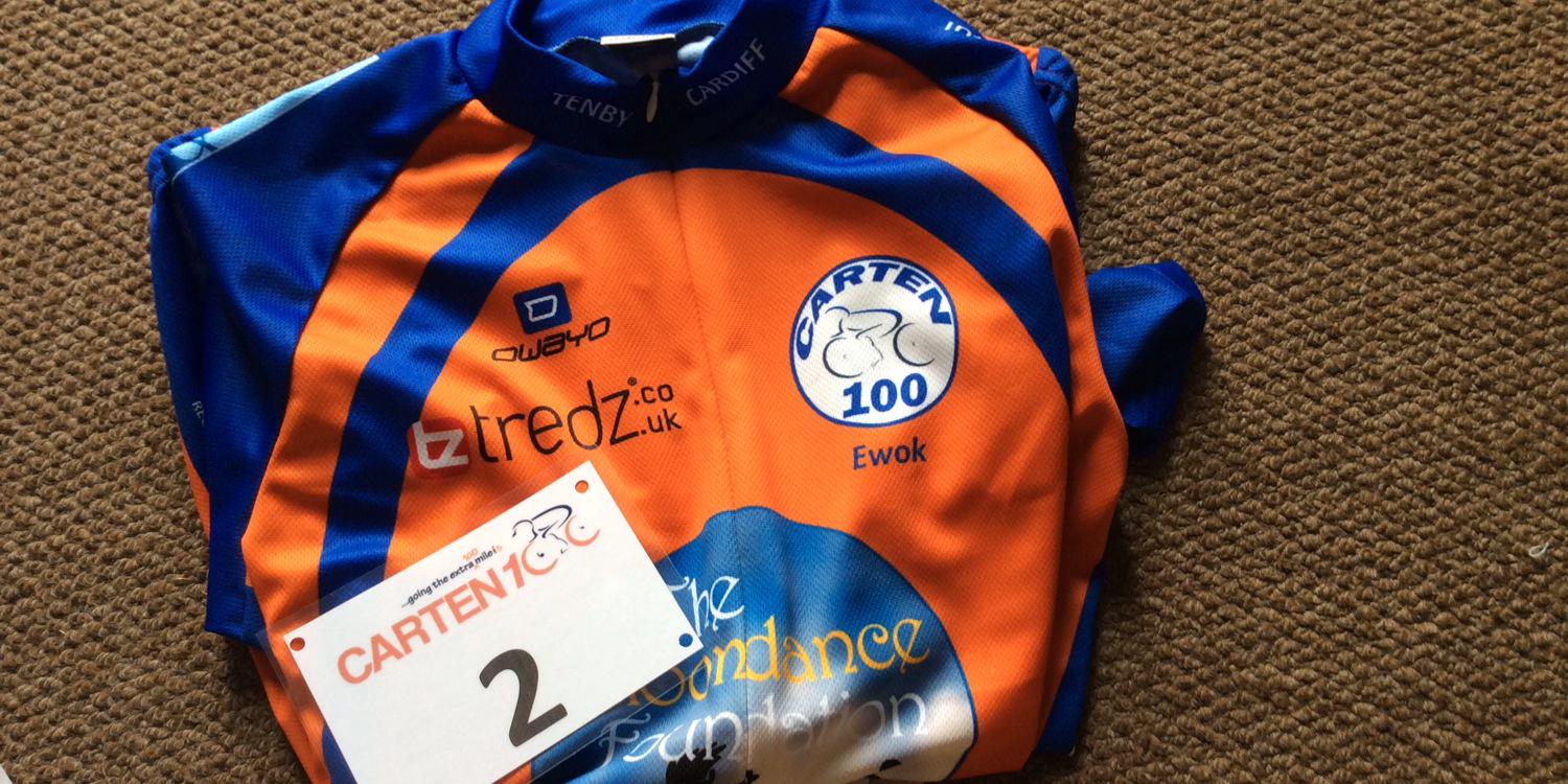 David Stealey banner