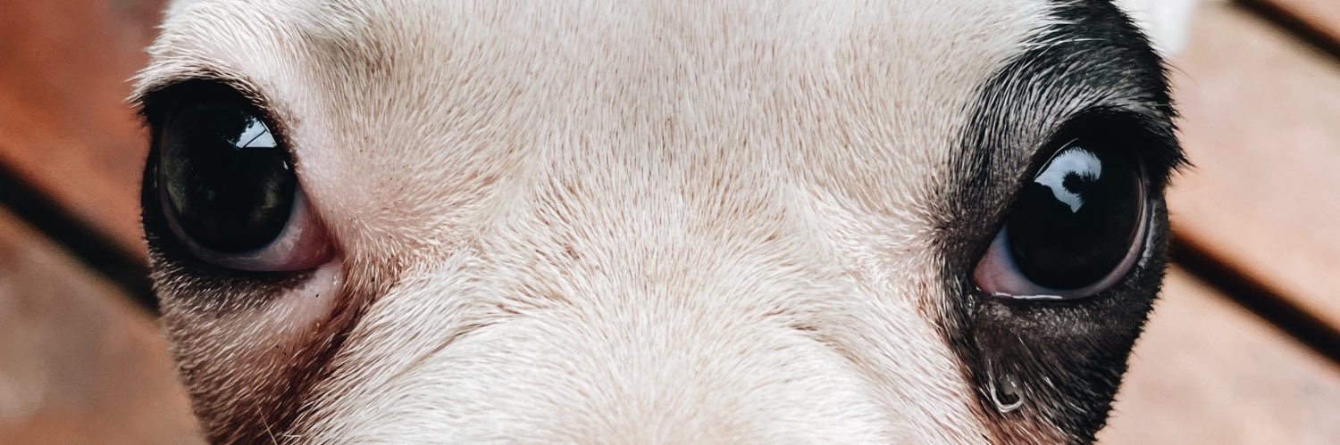 luciabelenl's profile banner image
