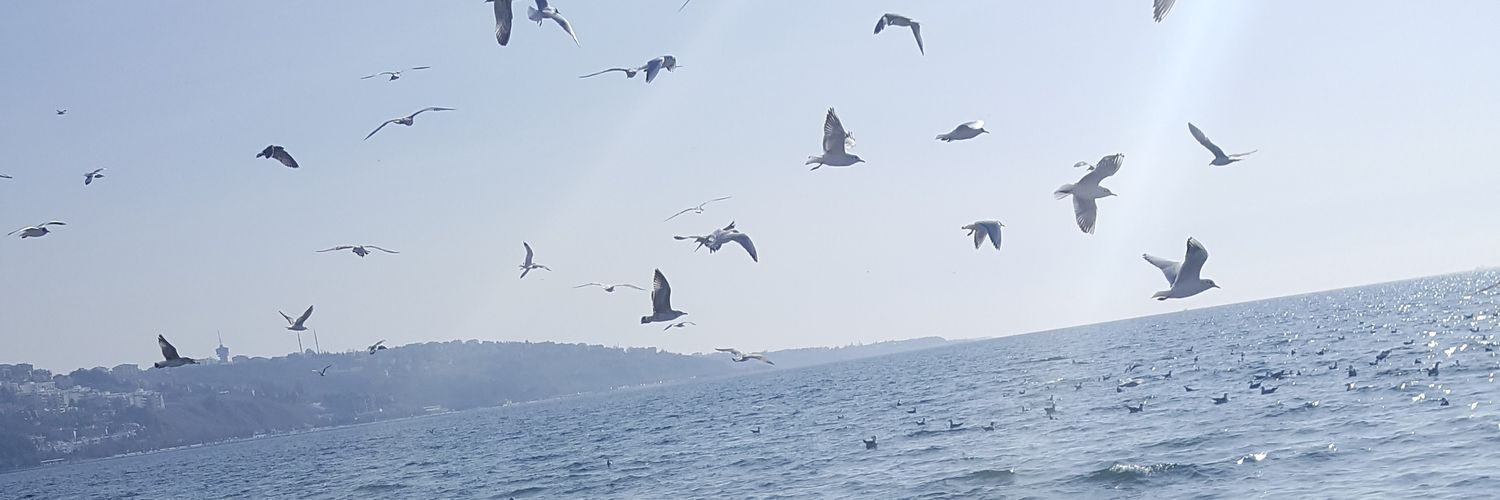 Nesrinatlamaz's profile banner image