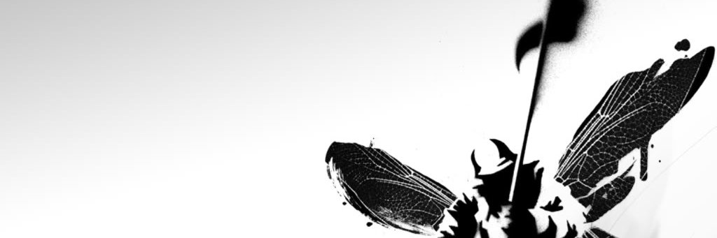 muhammadarooj's profile banner image