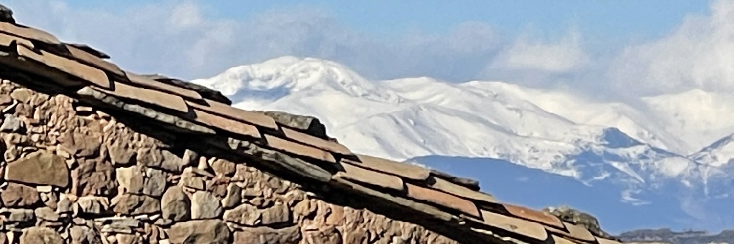 Joan Domènech banner