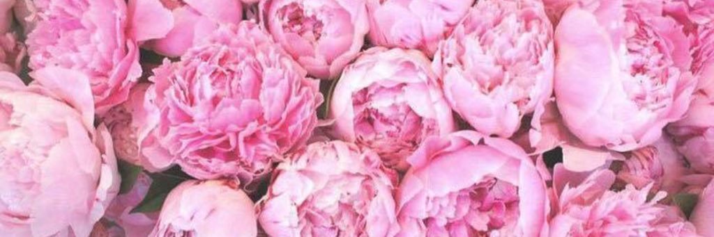 PaigeDorans's profile banner image