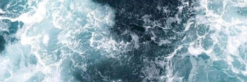 laura_barbas4's profile banner image