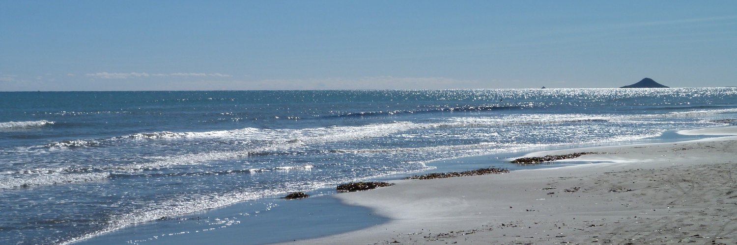 Ángel López Nicolás banner