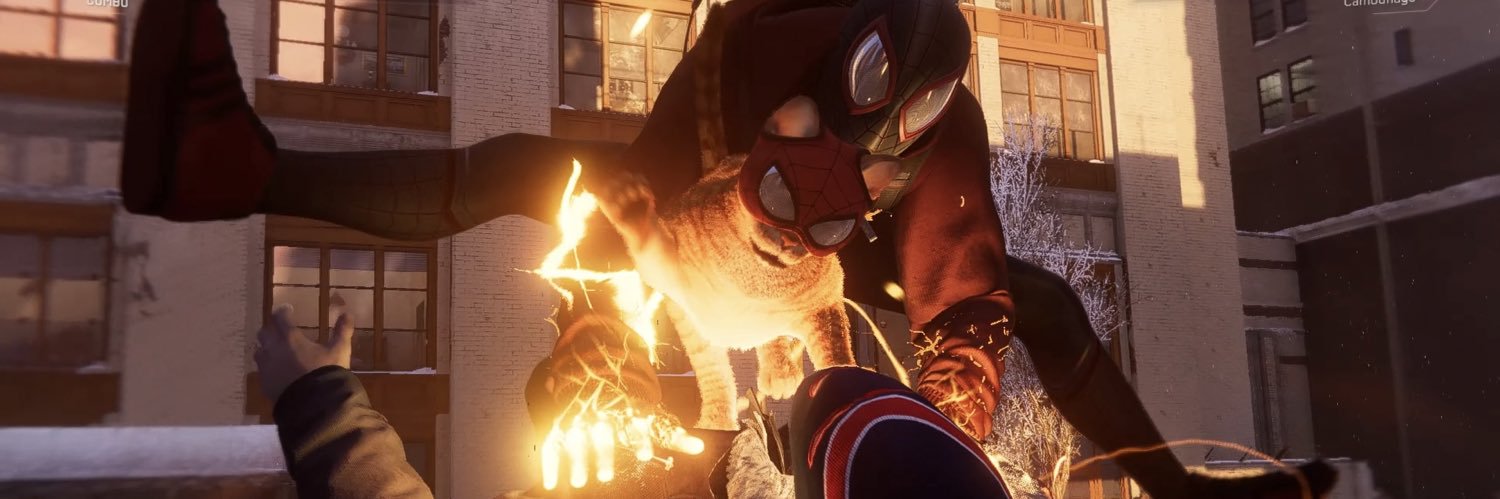 𝒏𝒆𝒑𝒉𝒊𝒆 (•̀ᴗ•́)و banner