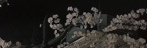 mrmr_llmill's profile banner image