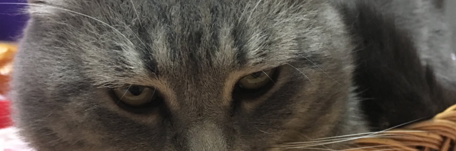 Jurisus's profile banner image