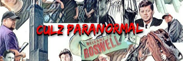 Therealculz Profile Banner