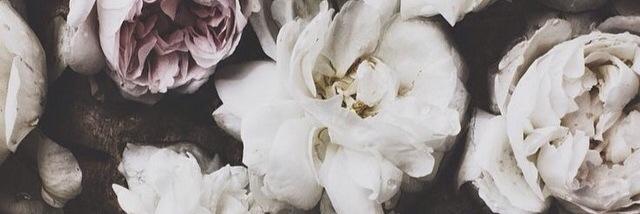 abbycrewe's profile banner image