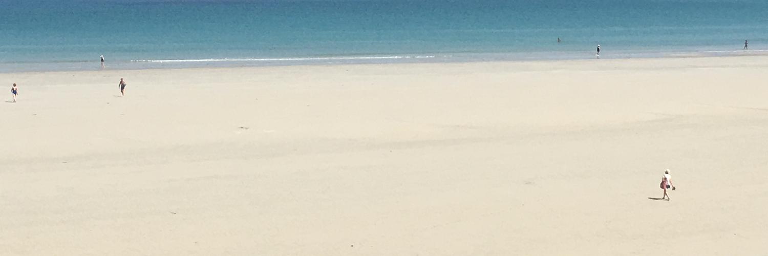 Eli Scotti banner
