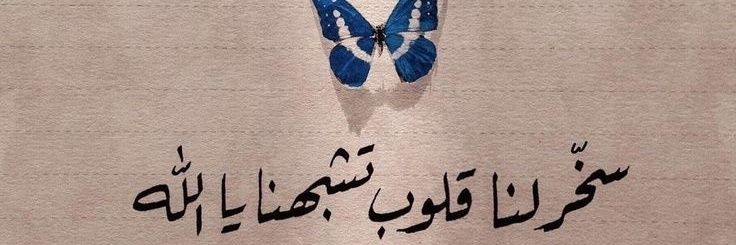 Mohamed mostafa banner