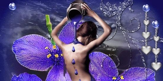 kappamary's profile banner image