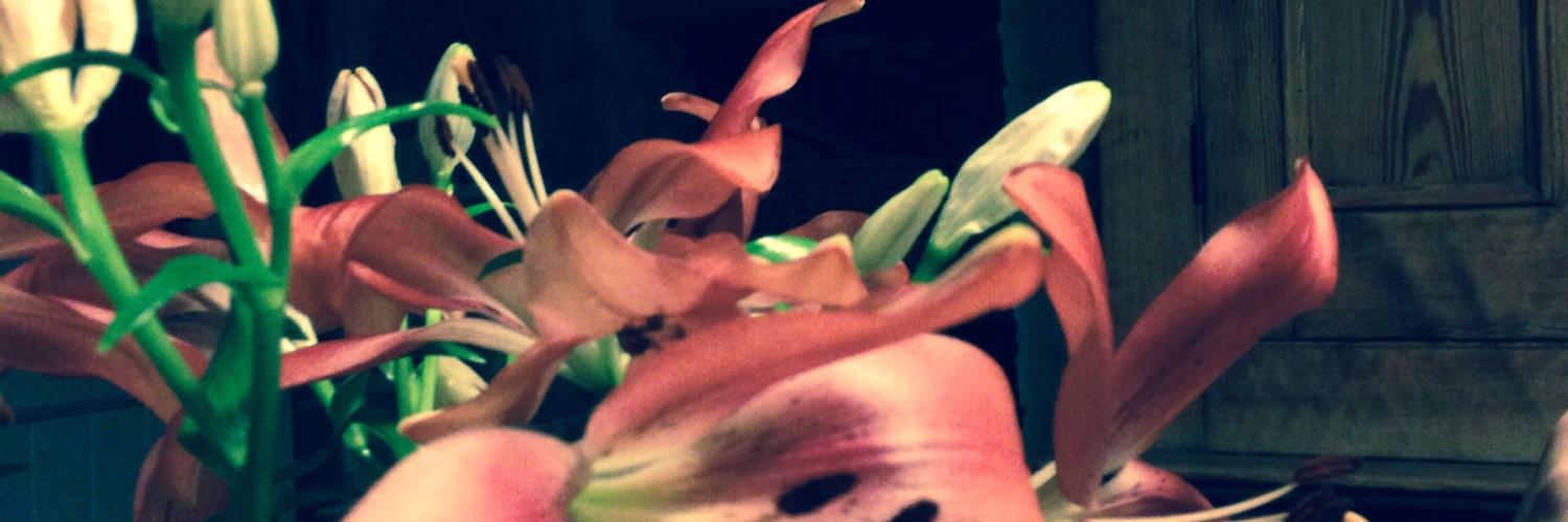 KingFubarEP's profile banner image
