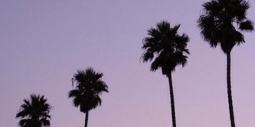 heyMorganS's profile banner image