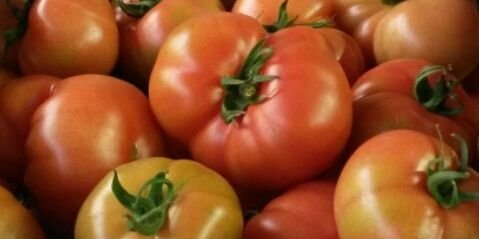 TotalProduceMCR's profile banner image