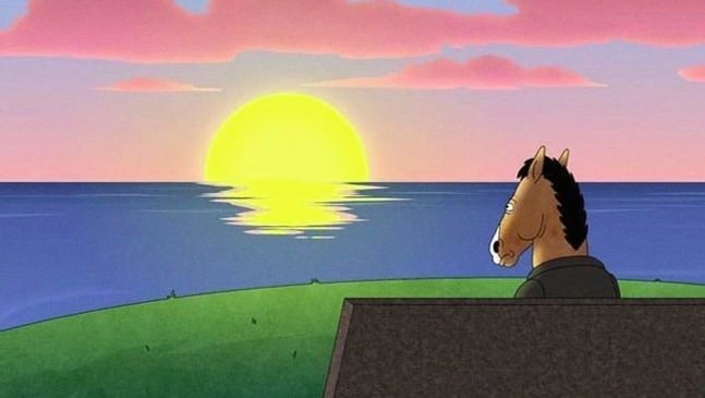 shellviccyy's profile banner image