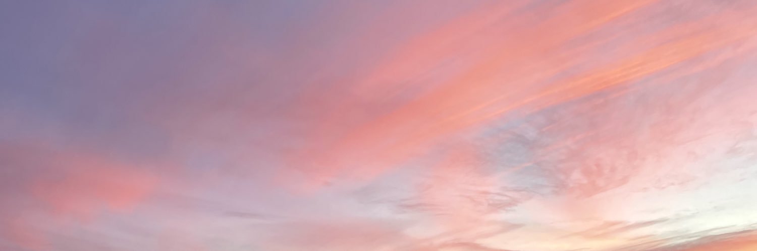 gracecasner's profile banner image