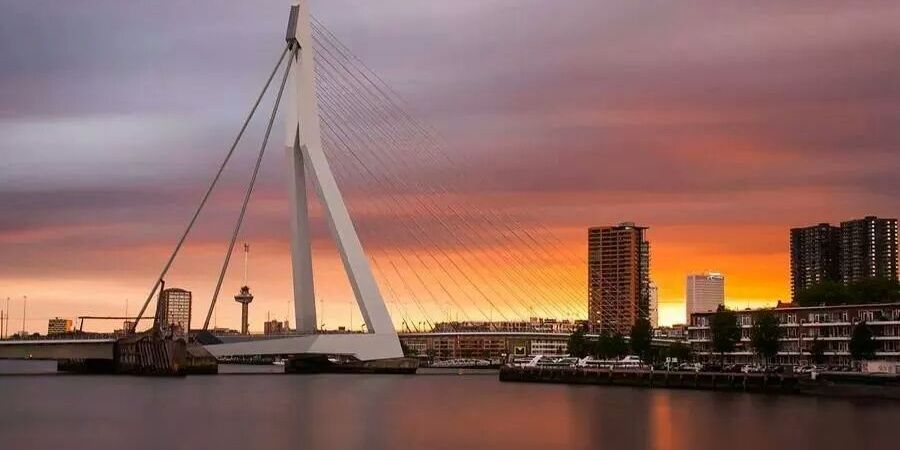 Rotterdamsche horeca banner