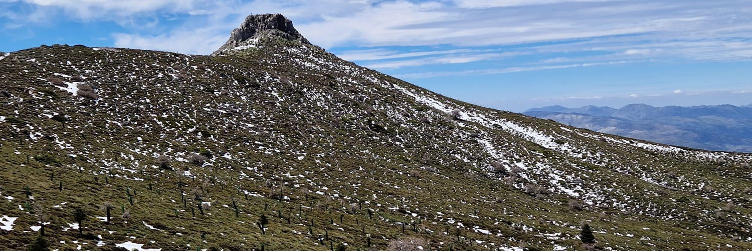 Femurca1's profile banner image