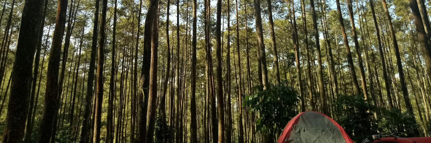 danielrella's profile banner image