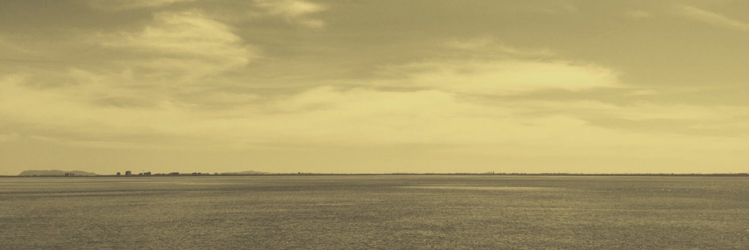 pinad's profile banner image
