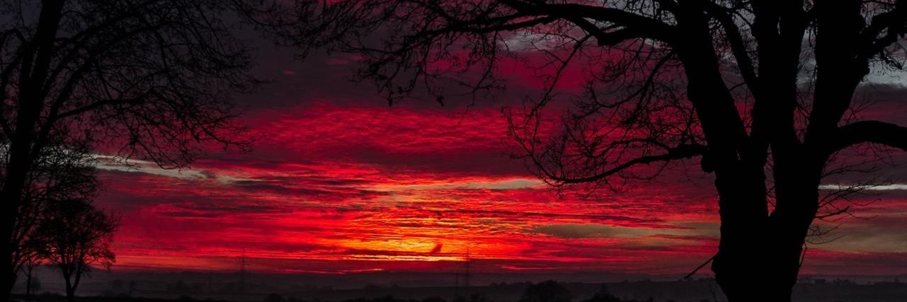 Craiglarocke's profile banner image