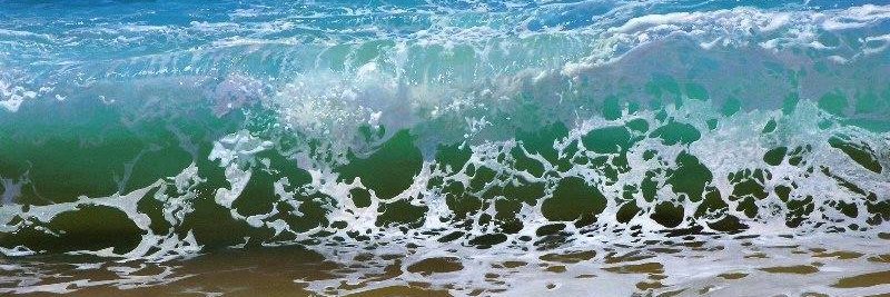 haldun erdinç banner