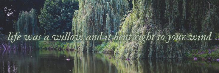 LauraMBaum's profile banner image
