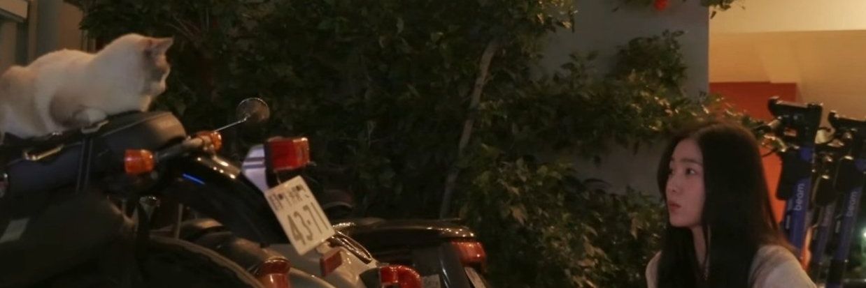 1002000_'s profile banner image