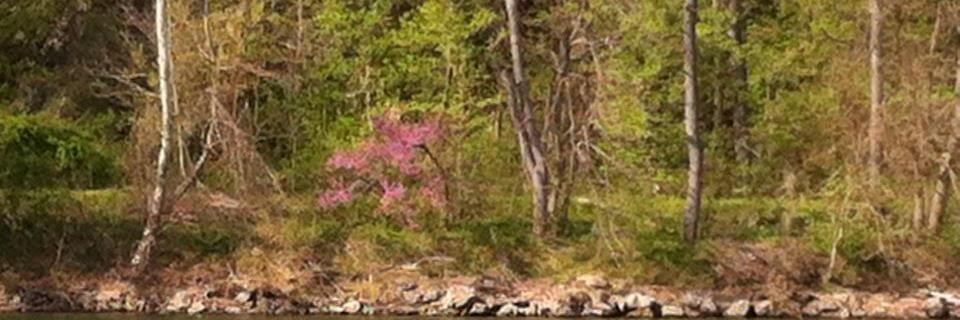 River Bend News and Updates (Tweets) banner