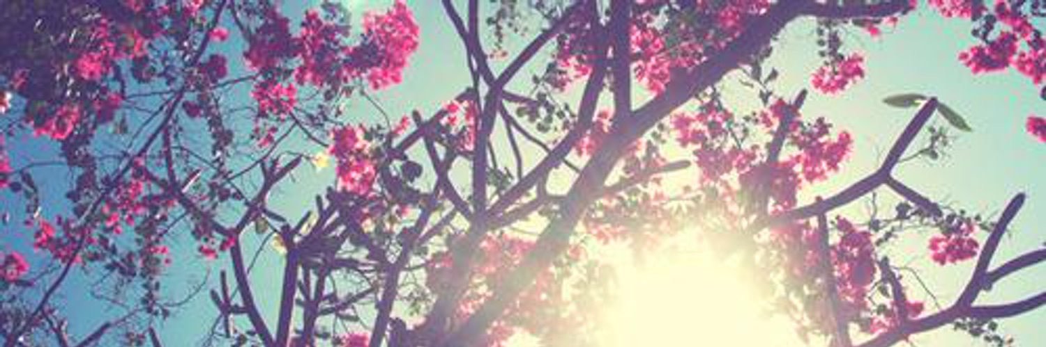 TowandaLoandra's profile banner image