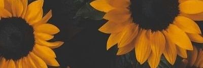 𝐃𝐞𝐯𝐢 banner