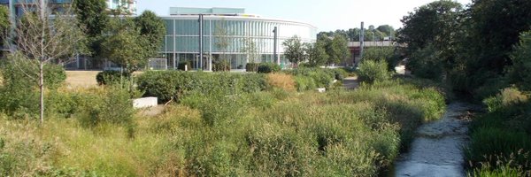 PaulLewisham Profile Banner