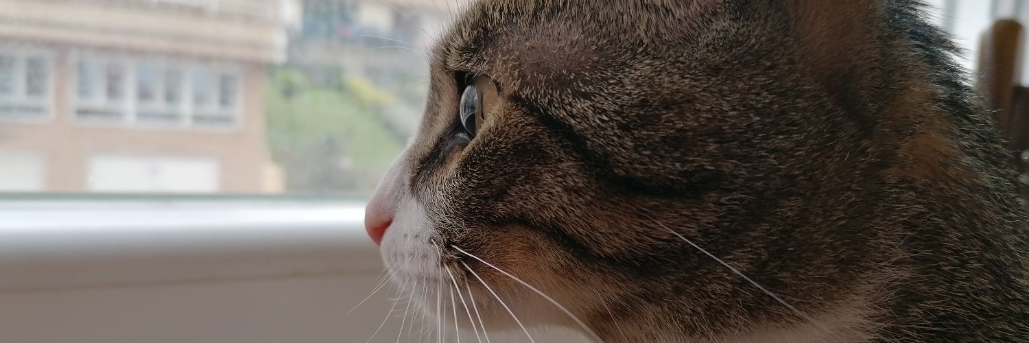 pumasantander's profile banner image