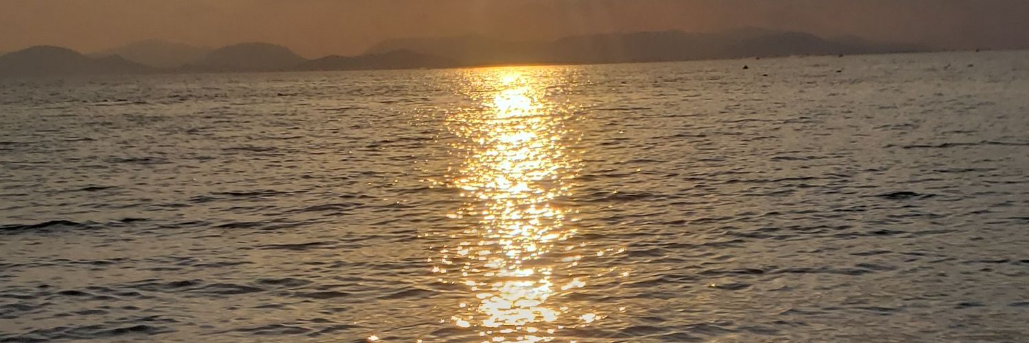 bobarhoum8055's profile banner image