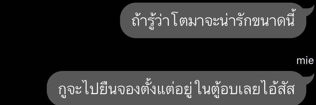 вαιвαι (ᓀ‸ᓂ) 🪽 banner