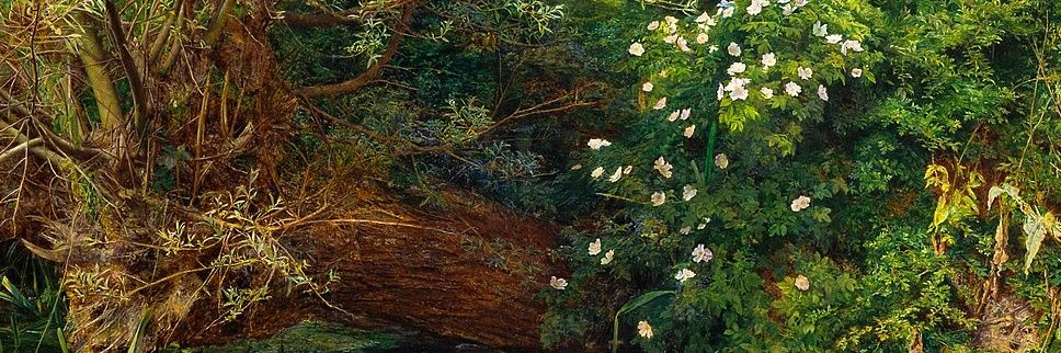 omnishambles 🇺🇦 banner