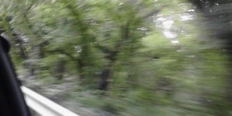 thaliacongdr's profile banner image