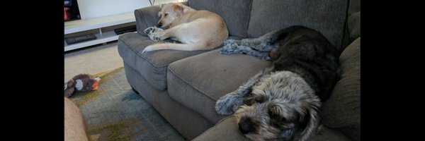 GrantTheAnt Profile Banner