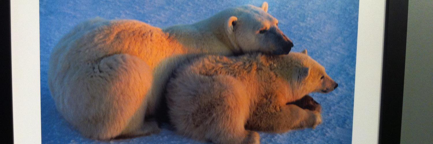 J Daniel C Toledo banner